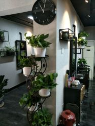 -AFA Hair studio·女士发型设计