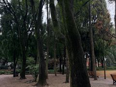 -汇龙潭