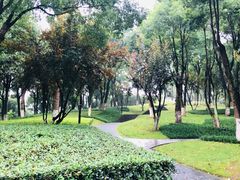 -重庆市江北嘴中央商务区中央公园