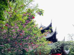 -龙华寺