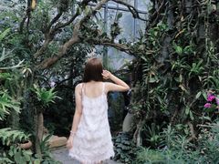 -东莞植物园