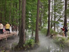 -东湖落雁景区