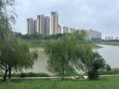 -洋湖国家湿地公园