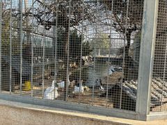-水绘园