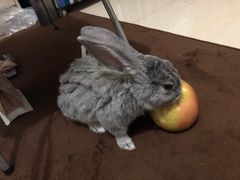 -中家鑫园温泉酒店鑫悦汤泉