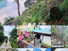 -铁山坪森林公园