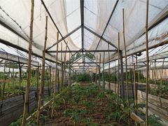 -前小桔亲子创意农场·草莓采摘·露营烧烤