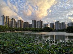 -新江湾城公园