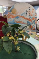 -月来悦好国际月子会所