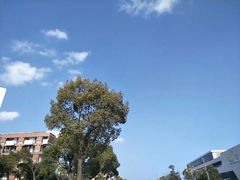 -上海海事大学(临港校区)