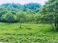 -大水川景区