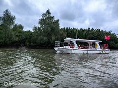 -东寨港红树林旅游区