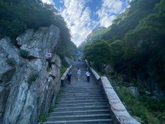 -泰山风景名胜区