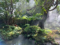 -Chom Cafe and Restaurant