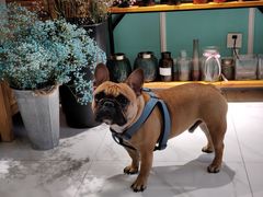 -南瓜谷塔罗(和义店)