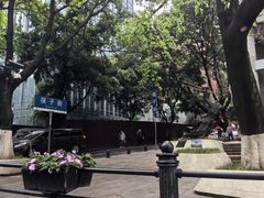 -重庆国泰艺术中心