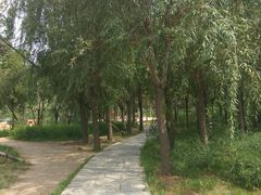 -长春公园(普阳街道)