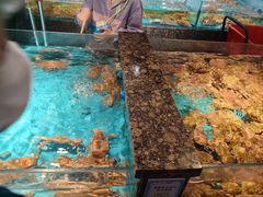 -拉完海鲜大排档(温岭店)