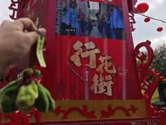 -越秀西湖花市(广州城市广场花卉店)
