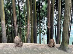 -太阳湾风景区