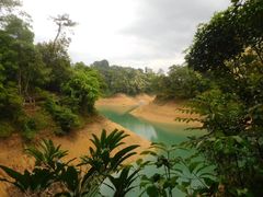 -广州市流溪河国家森林公园