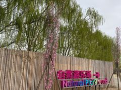 -安德鲁户外烧烤帐篷营地(马泉营店)