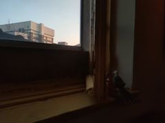 -春风十里咖啡馆
