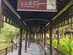 -东湖落雁景区