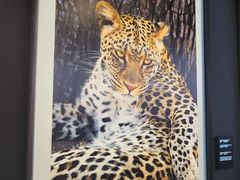 -罗红摄影艺术馆