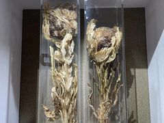 -北京中医药大学-中医药博物馆