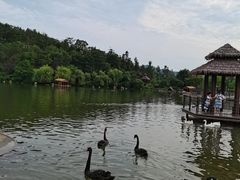 -南京银杏湖乐园