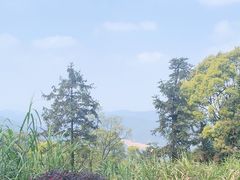 -广州市帽峰山景区