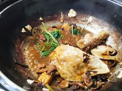 -三里屯土灶炖公鸡地锅鸡(江东店)