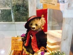 -济州岛泰迪熊博物馆