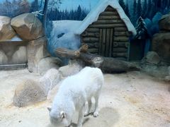 -华谊兄弟（长沙）电影小镇