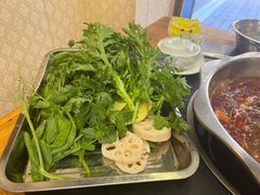 -金鼎雪山牦牛杂火锅(理县总店)