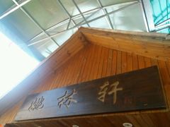 -姚林轩