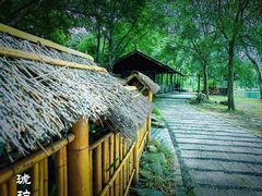 -上海共青森林公园