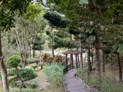 -太鲁阁公园