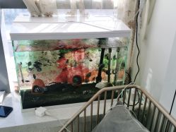 -ONE·男士国潮·美式渐变·理发馆·BARBER SHOP