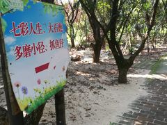 -茂德公草堂