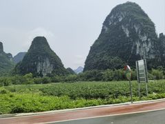 -明仕田园