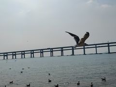 -黑石礁公园