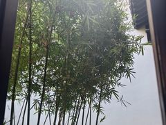 -绮园景区