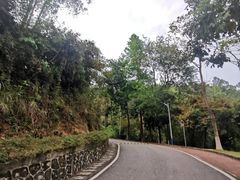 -火炉山森林公园