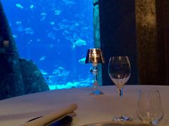 -迪拜帆船酒店海底餐厅