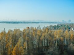 -东湖落雁景区