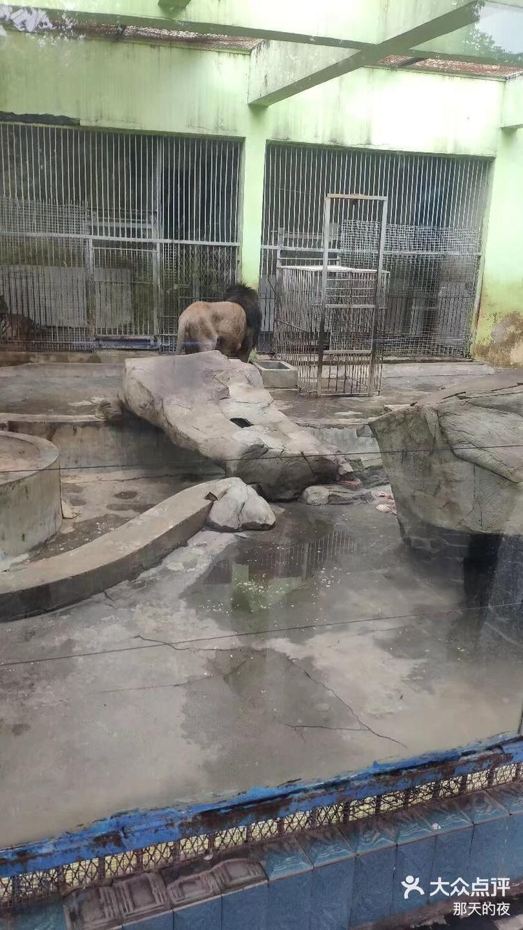十堰动物园半天游-大众点评