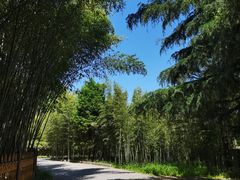 -终南山古楼观历史文化景区