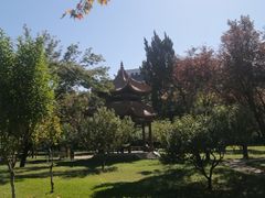 -曲阜师范大学(曲阜校区)